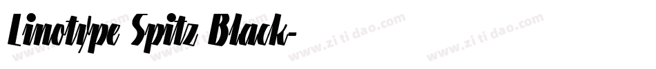 Linotype Spitz Black字体转换